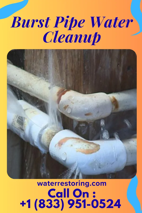 Burst Pipe Water Cleanup in Ferguson, KY