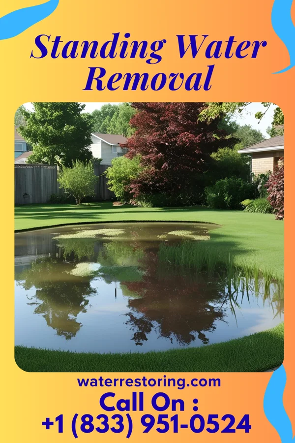 Standing Water Removal in Ferguson, KY